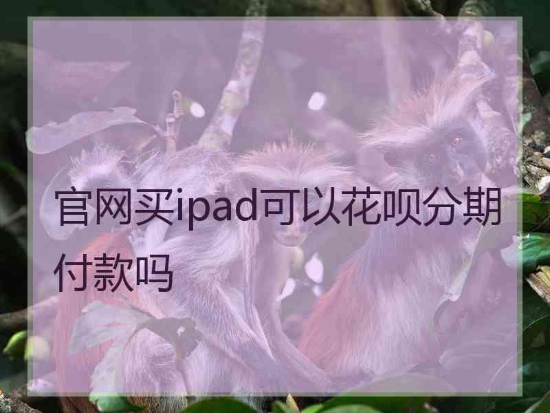 官网买ipad可以花呗分期付款吗