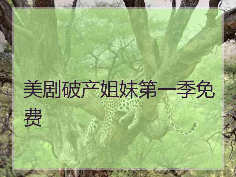 美剧破产姐妹第一季免费