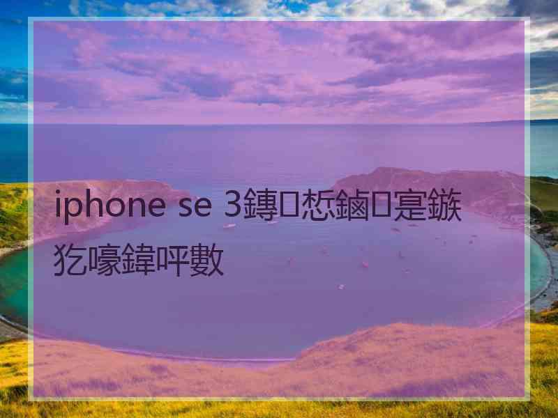 iphone se 3鏄惁鏀寔鏃犵嚎鍏呯數