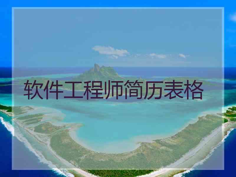 软件工程师简历表格