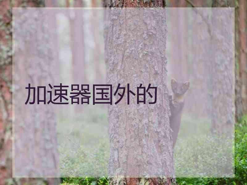 加速器国外的