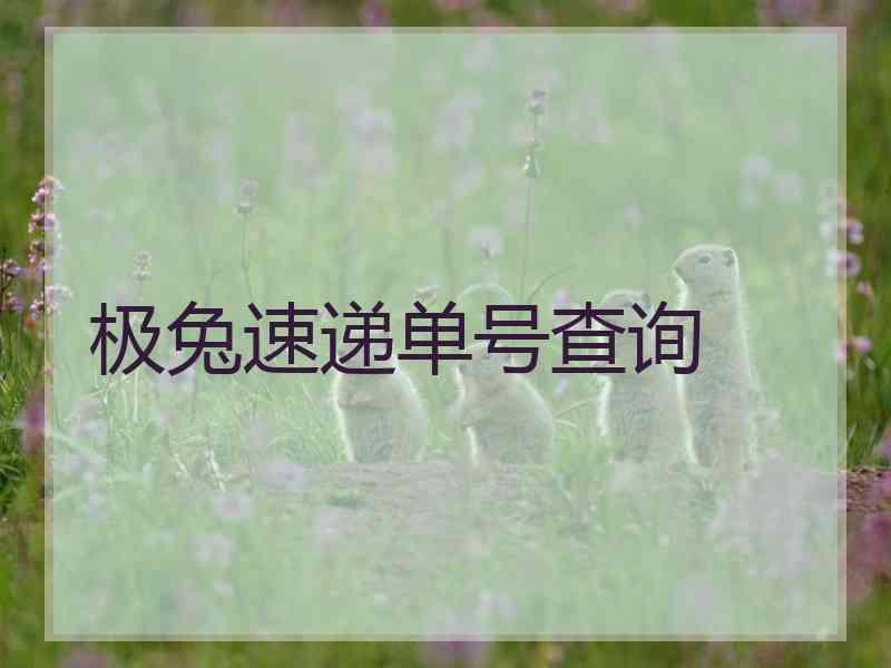 极兔速递单号查询