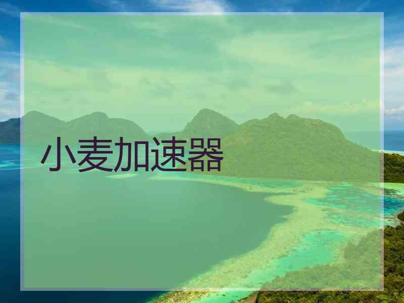 小麦加速器