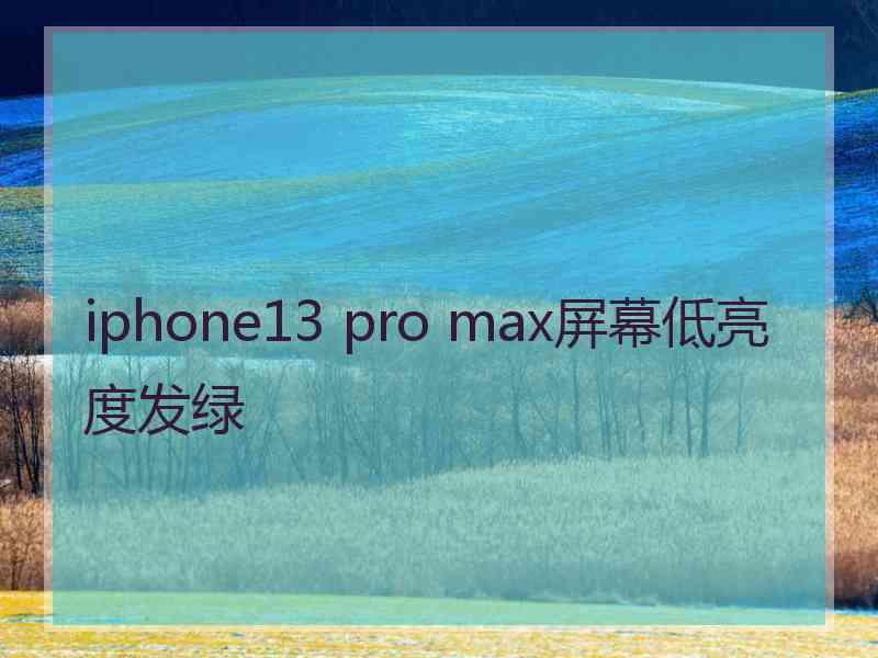 iphone13 pro max屏幕低亮度发绿