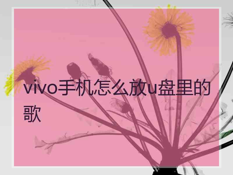 vivo手机怎么放u盘里的歌