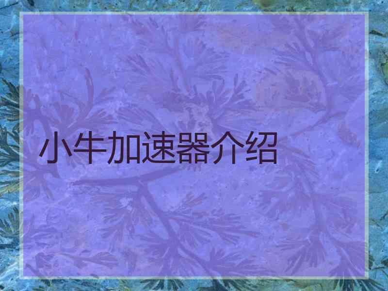 小牛加速器介绍