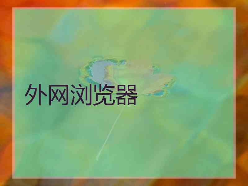外网浏览器