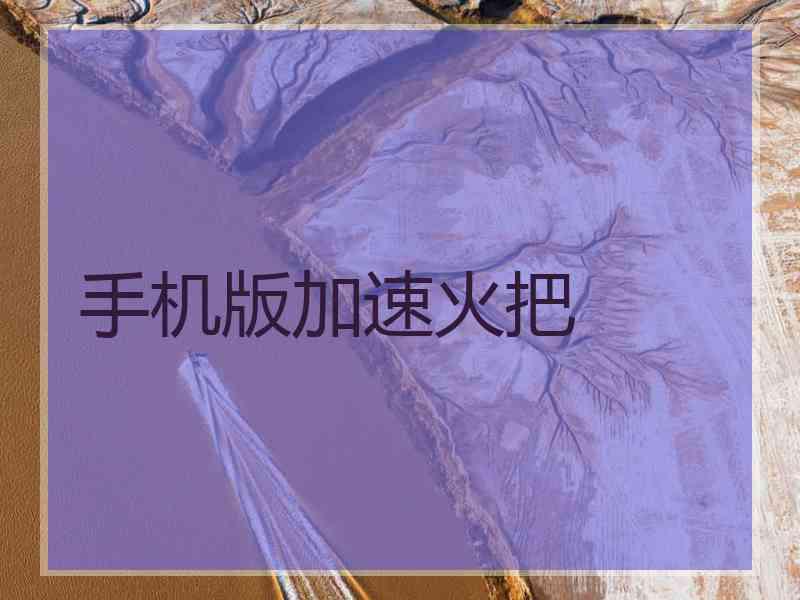 手机版加速火把