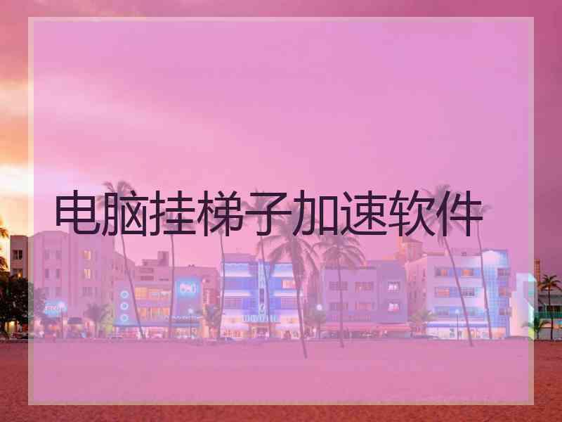 电脑挂梯子加速软件