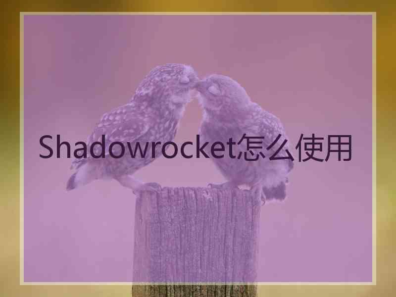 Shadowrocket怎么使用