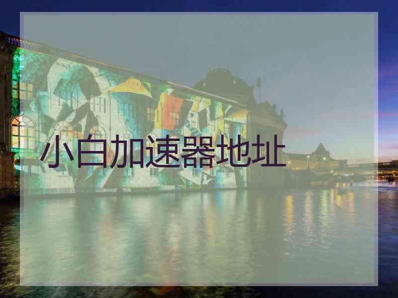 小白加速器地址
