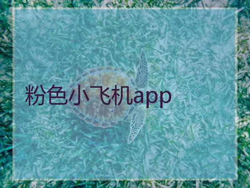 粉色小飞机app