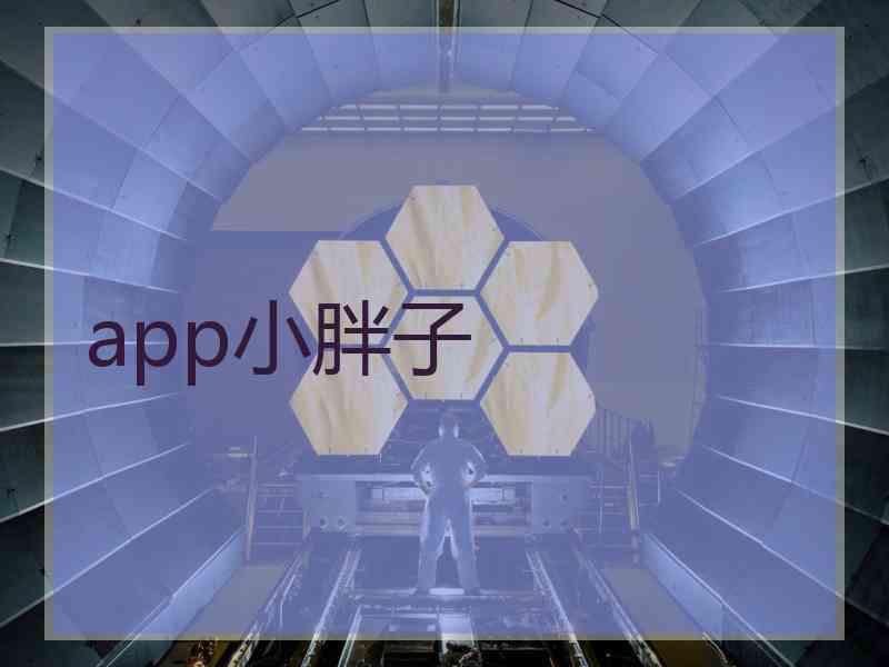 app小胖子