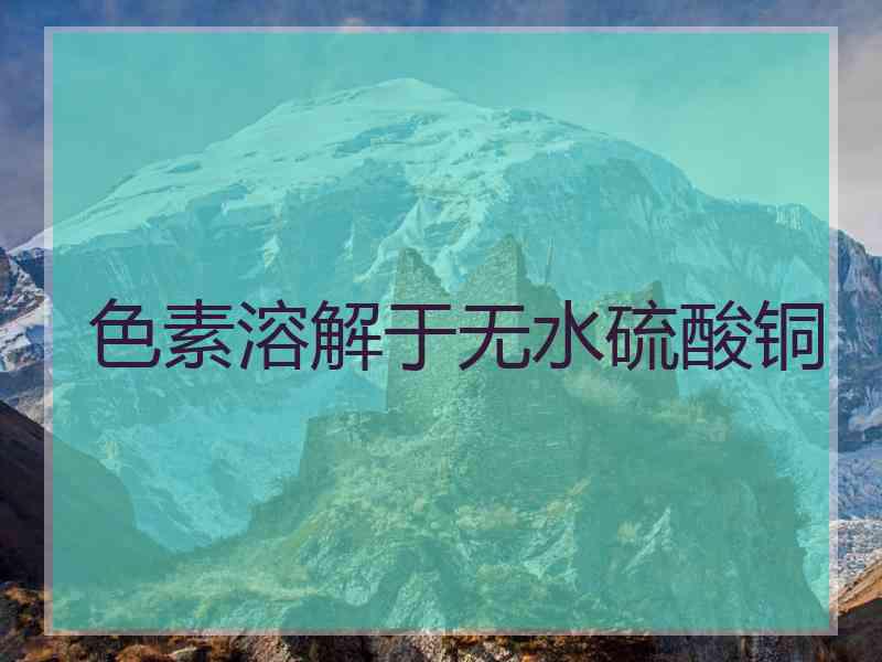 色素溶解于无水硫酸铜