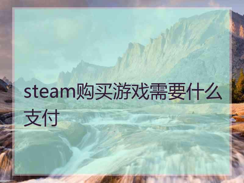steam购买游戏需要什么支付