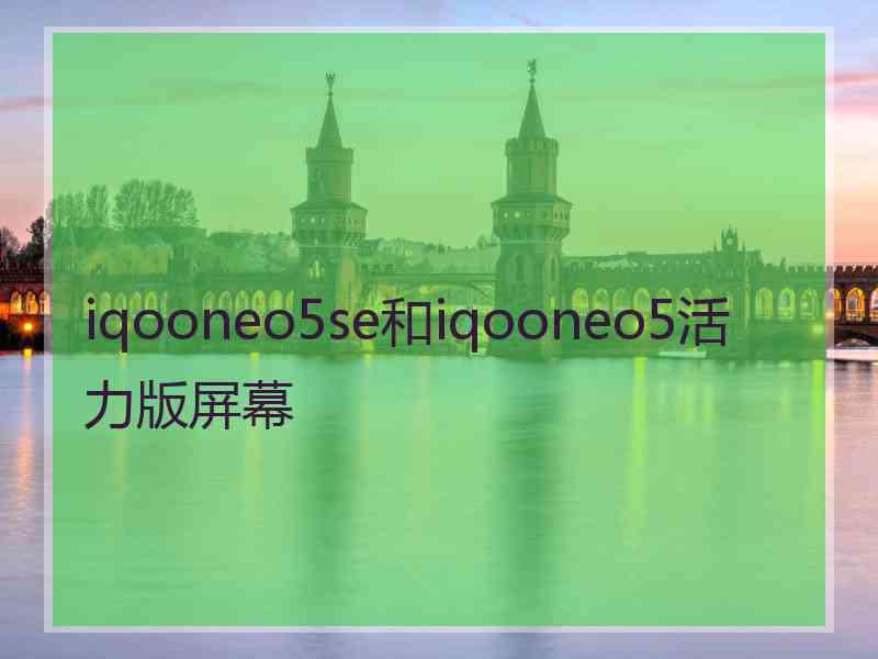 iqooneo5se和iqooneo5活力版屏幕