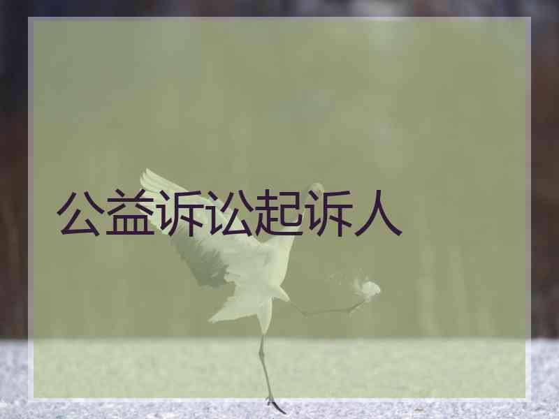 公益诉讼起诉人