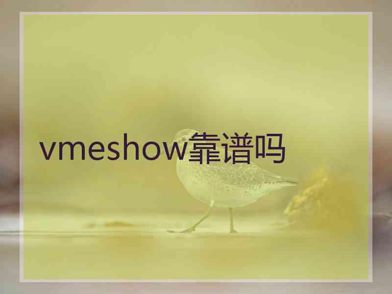 vmeshow靠谱吗