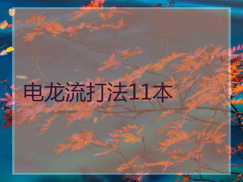 电龙流打法11本