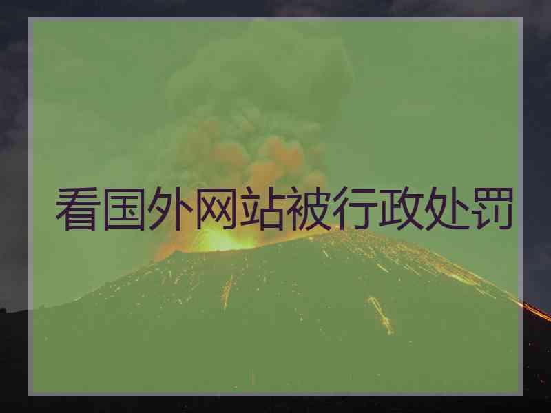看国外网站被行政处罚