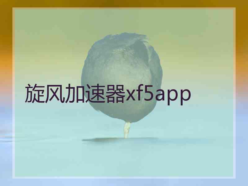 旋风加速器xf5app