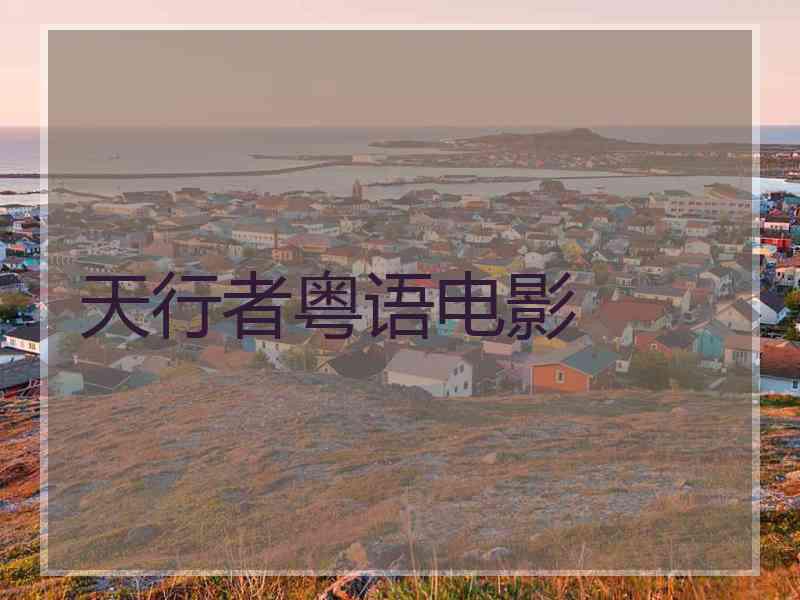 天行者粤语电影