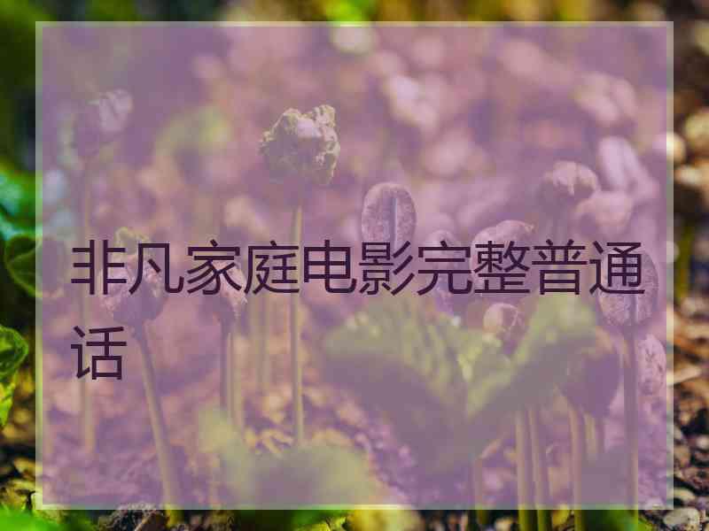 非凡家庭电影完整普通话