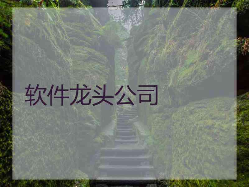 软件龙头公司