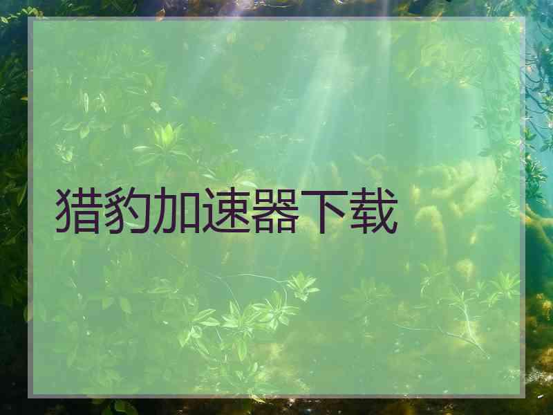 猎豹加速器下载