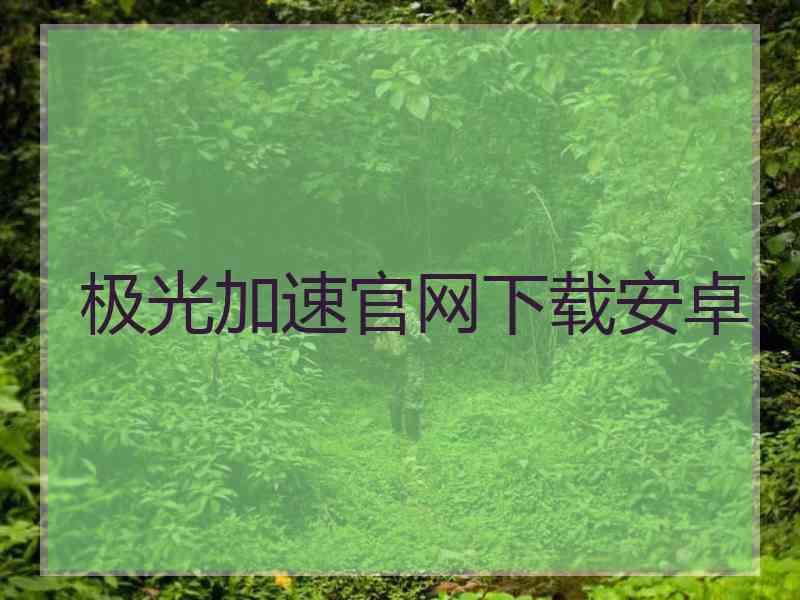 极光加速官网下载安卓