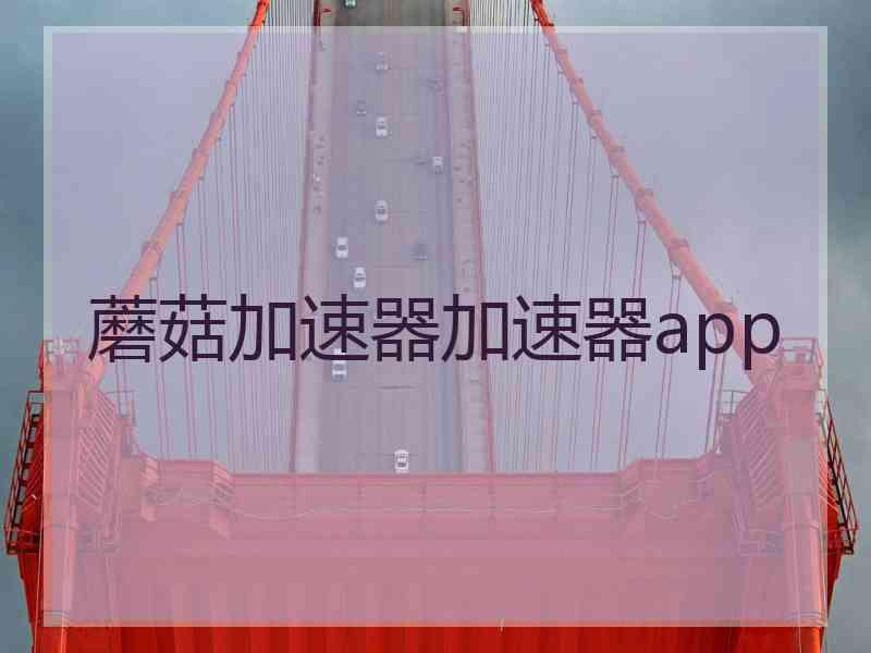 蘑菇加速器加速器app