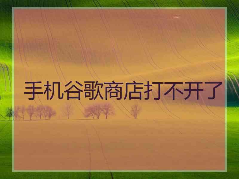 手机谷歌商店打不开了