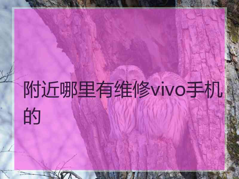 附近哪里有维修vivo手机的