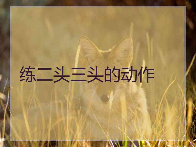 练二头三头的动作