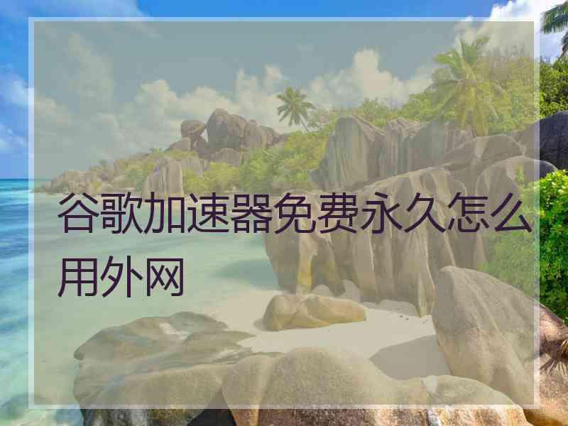 谷歌加速器免费永久怎么用外网