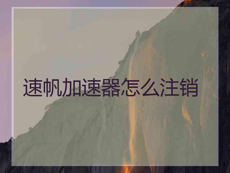 速帆加速器怎么注销
