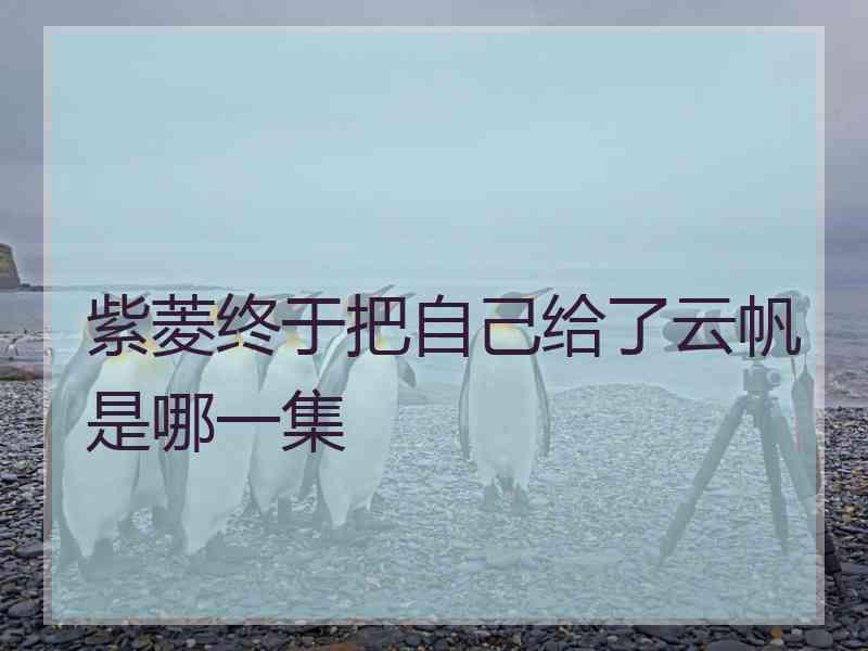 紫菱终于把自己给了云帆是哪一集