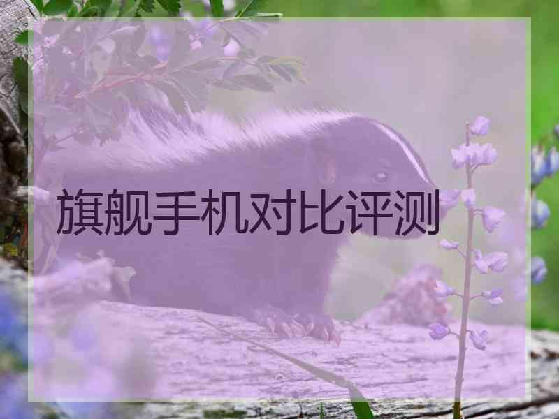 旗舰手机对比评测