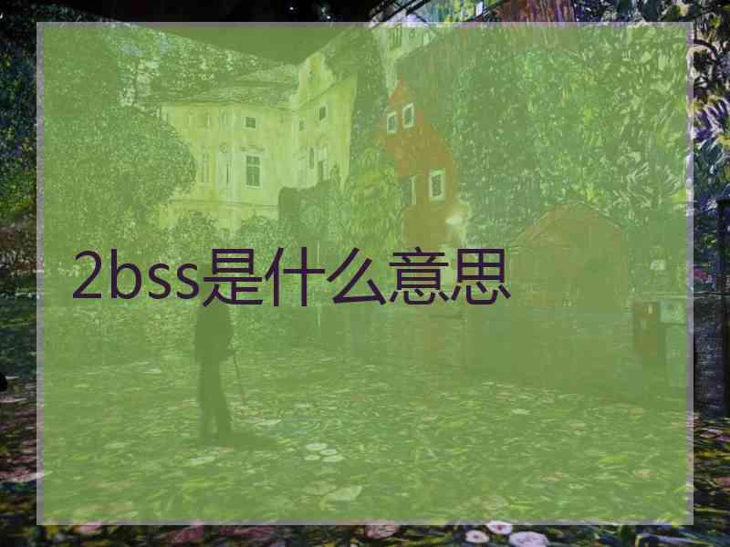 2bss是什么意思