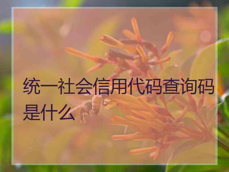 统一社会信用代码查询码是什么