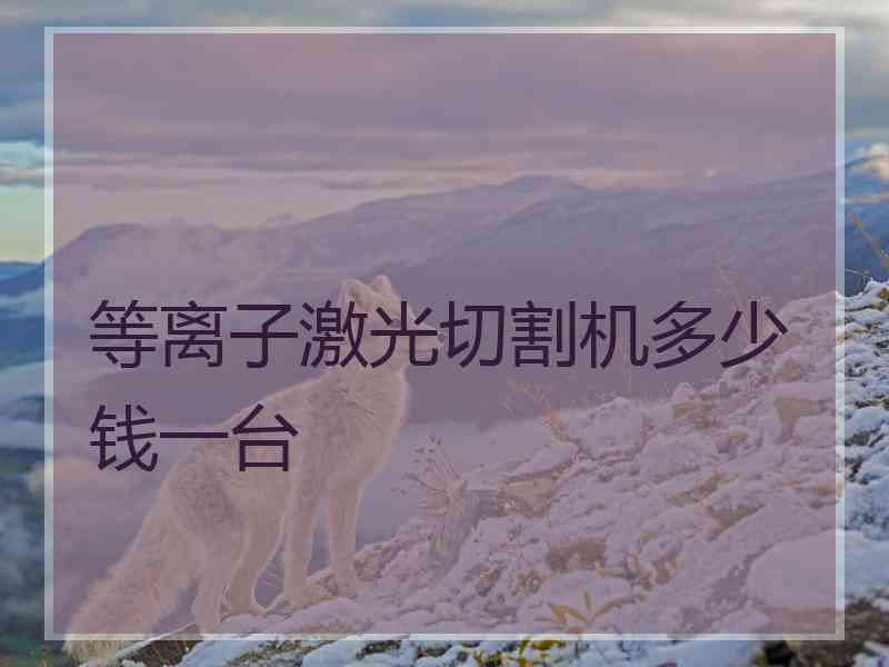 等离子激光切割机多少钱一台