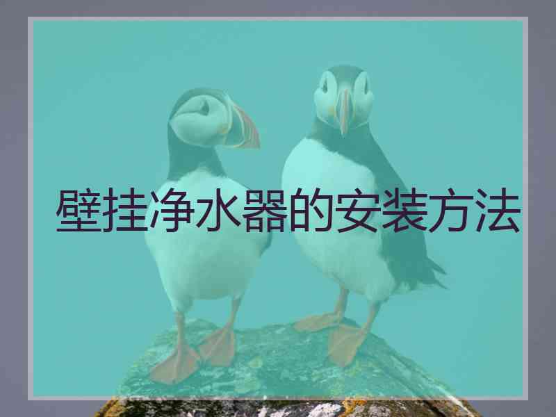 壁挂净水器的安装方法