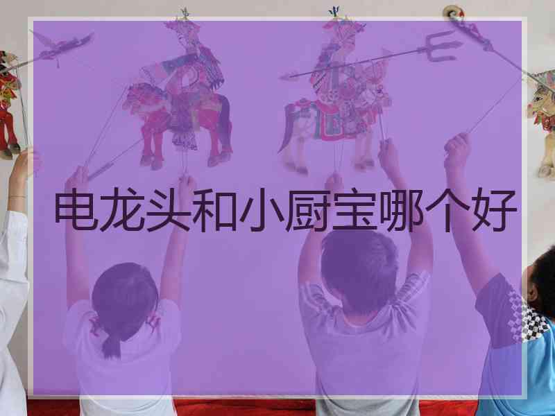 电龙头和小厨宝哪个好