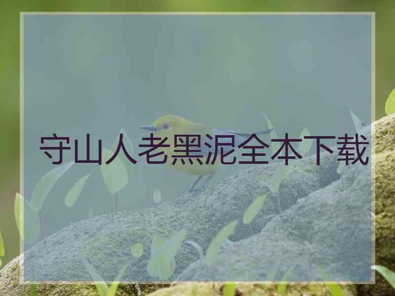 守山人老黑泥全本下载