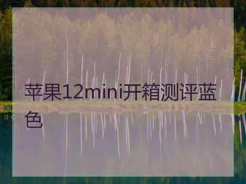 苹果12mini开箱测评蓝色