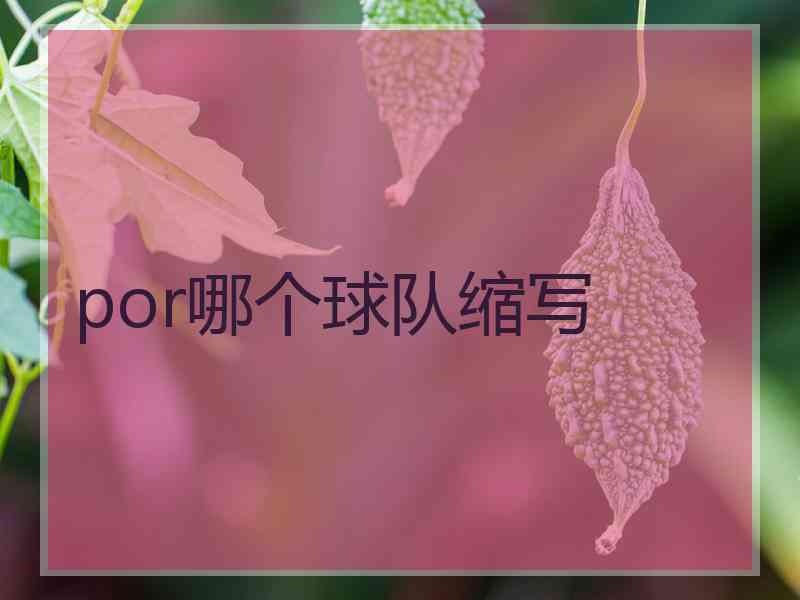 por哪个球队缩写