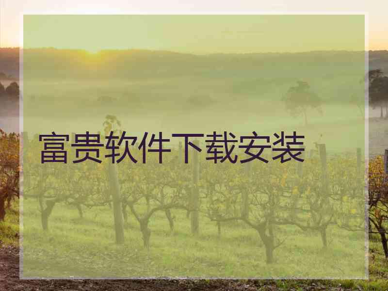 富贵软件下载安装
