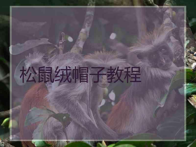 松鼠绒帽子教程