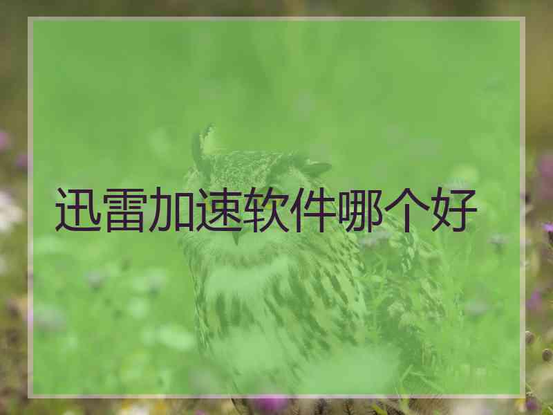 迅雷加速软件哪个好
