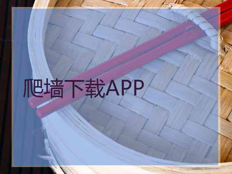 爬墙下载APP